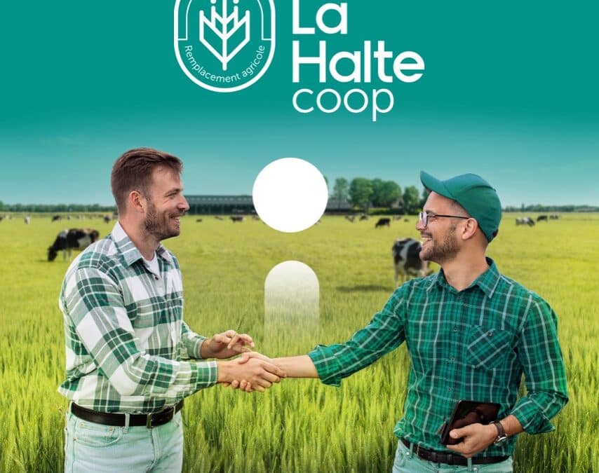 Nouveau nom : l’avenir appartient à La Halte coop
