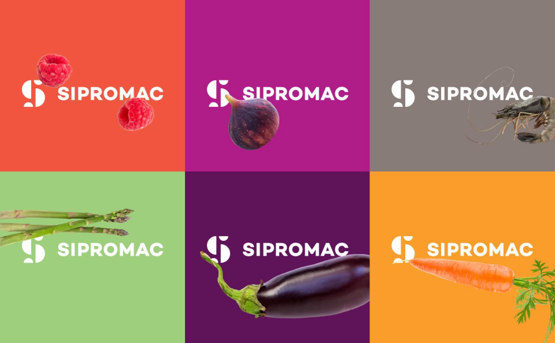 sipromac-couleurs